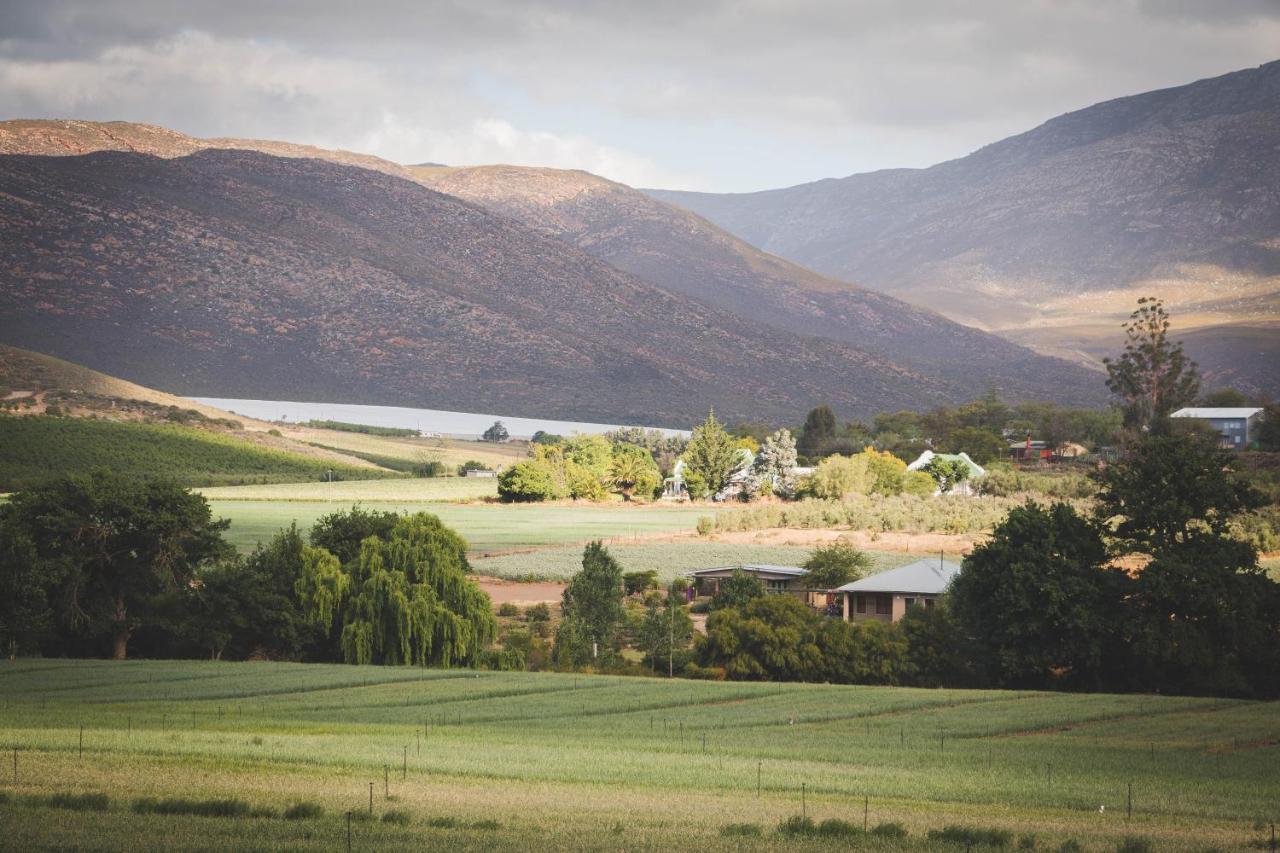 Blue Cow Barn - Boutique Farm Konuk evi Barrydale Dış mekan fotoğraf
