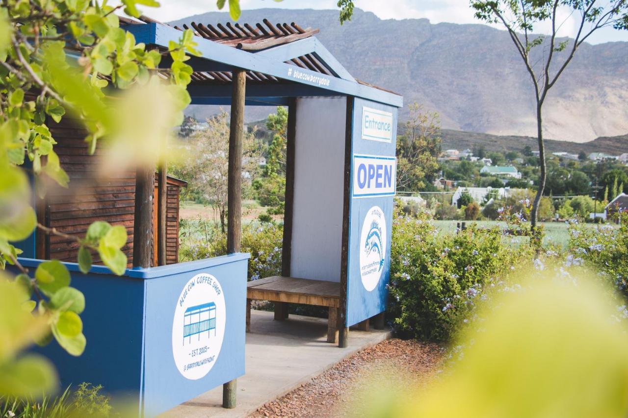 Blue Cow Barn - Boutique Farm Konuk evi Barrydale Dış mekan fotoğraf