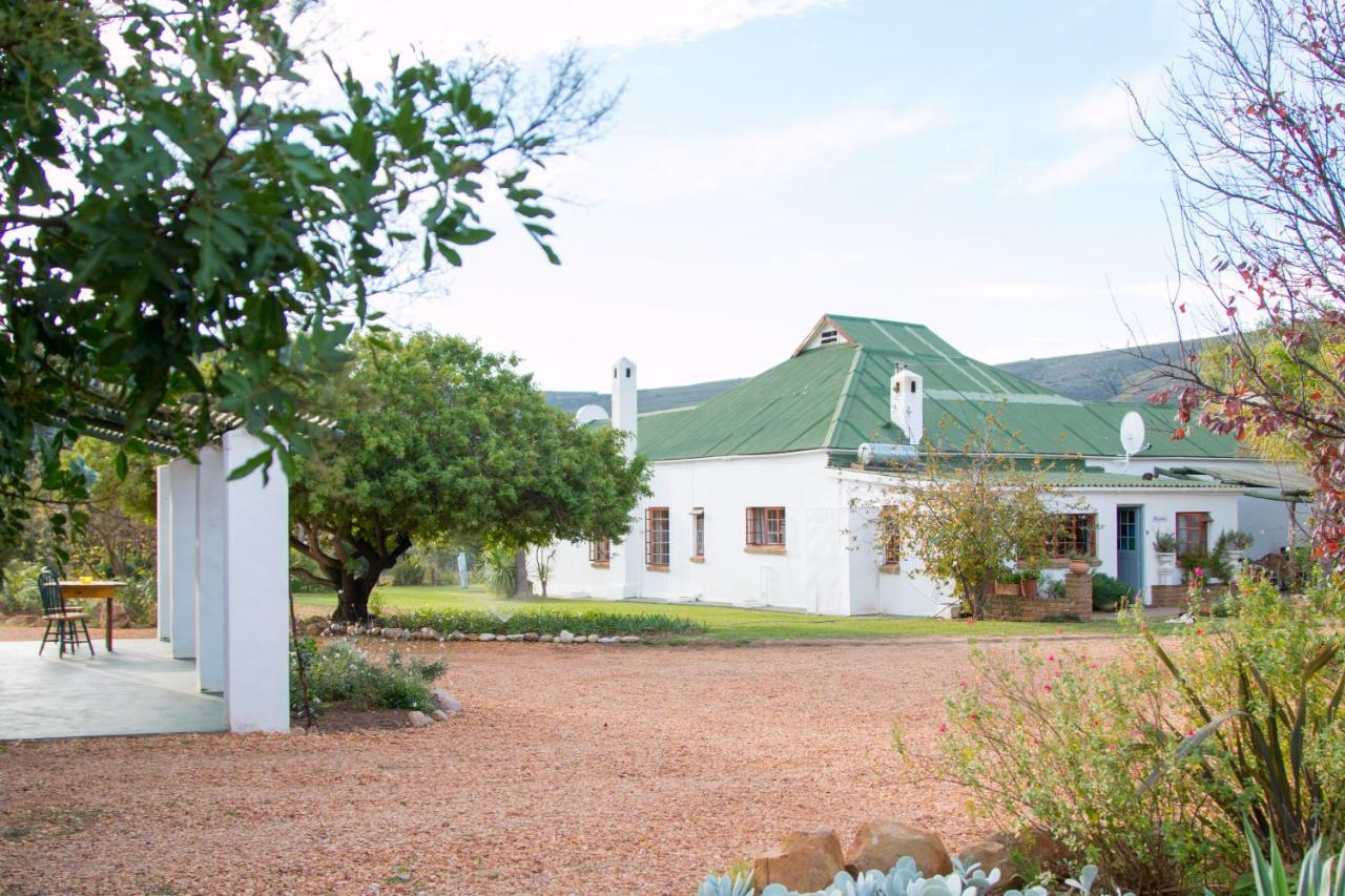Blue Cow Barn - Boutique Farm Konuk evi Barrydale Dış mekan fotoğraf